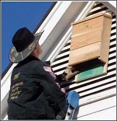 Wildlife Whisperer installing bat box on house