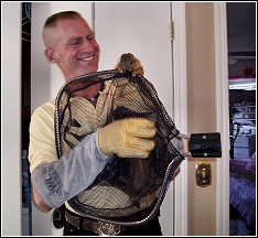 ned bruha removing a squirrel from a home