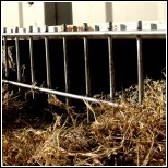 ddac barriers can help keep porcupines and other wildlife out