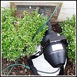 odor elimination machine