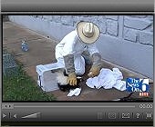 video story about the skunk with his head stuck in a peanut butter jar